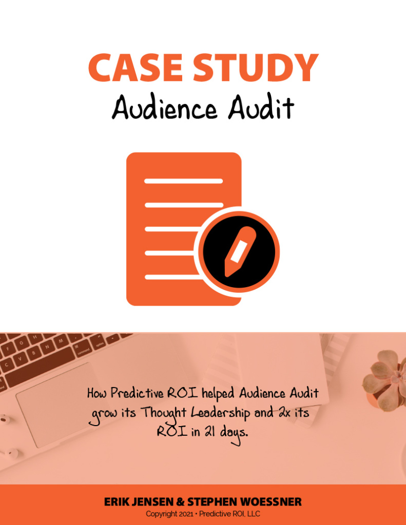 Case-Study-Audience-Audit